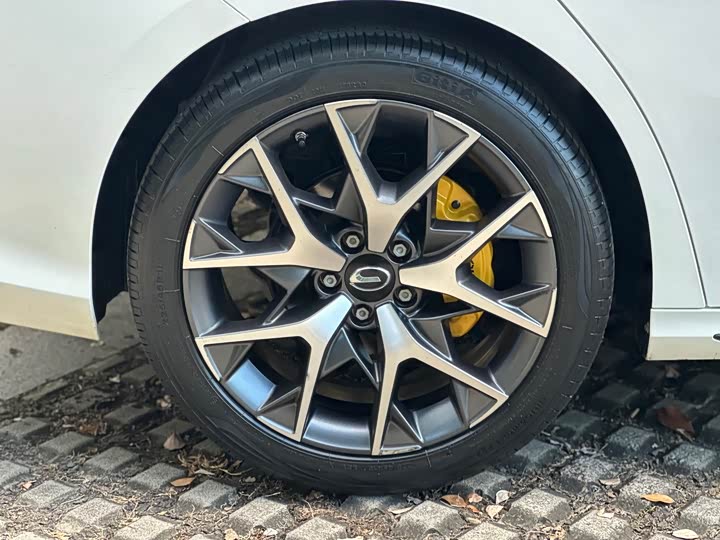 Фото 26 - GAC Trumpchi Empow R