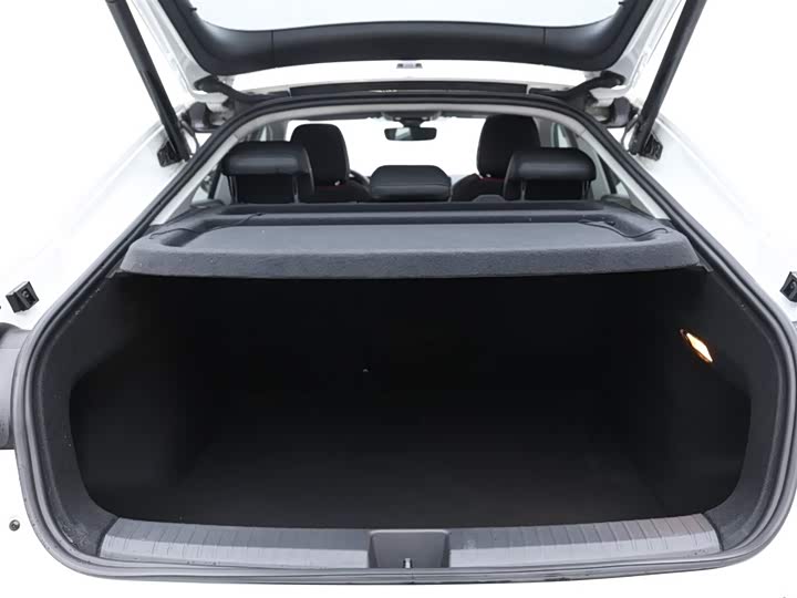 Фото 8 - Volkswagen Lamando L