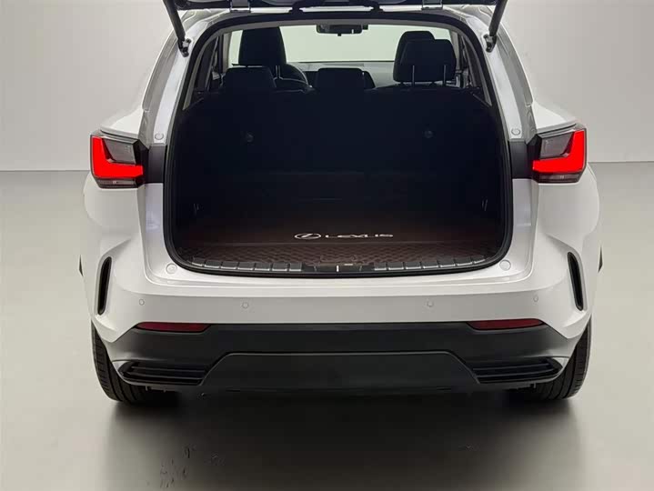 Фото 15 - Lexus NX