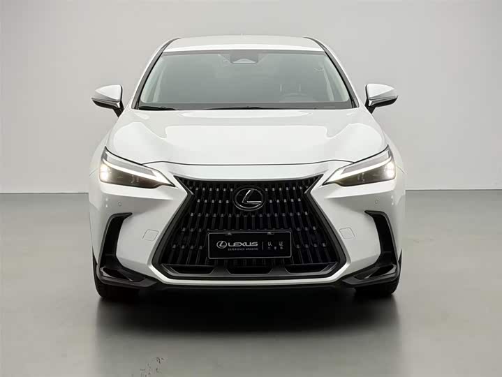 Фото 3 - Lexus NX