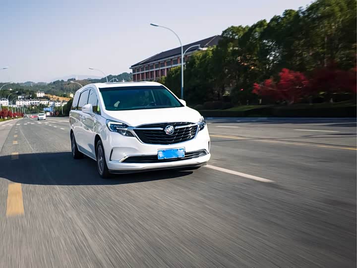 Фото 13 - Buick GL8 ES