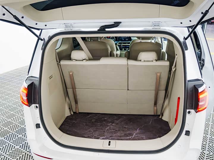 Фото 22 - Buick GL8 ES