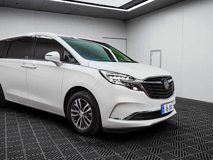 Фото 7 - Buick GL8 ES