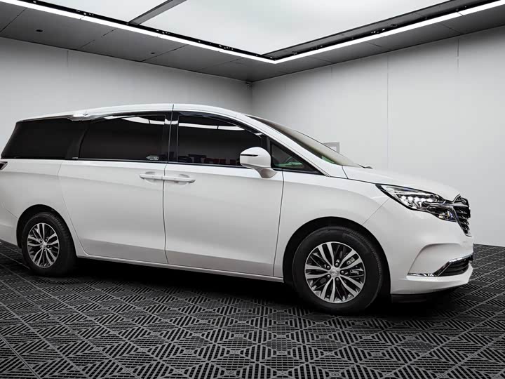 Фото 8 - Buick GL8 ES