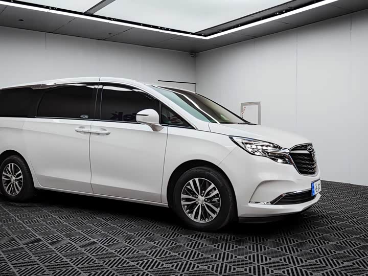 Фото 9 - Buick GL8 ES