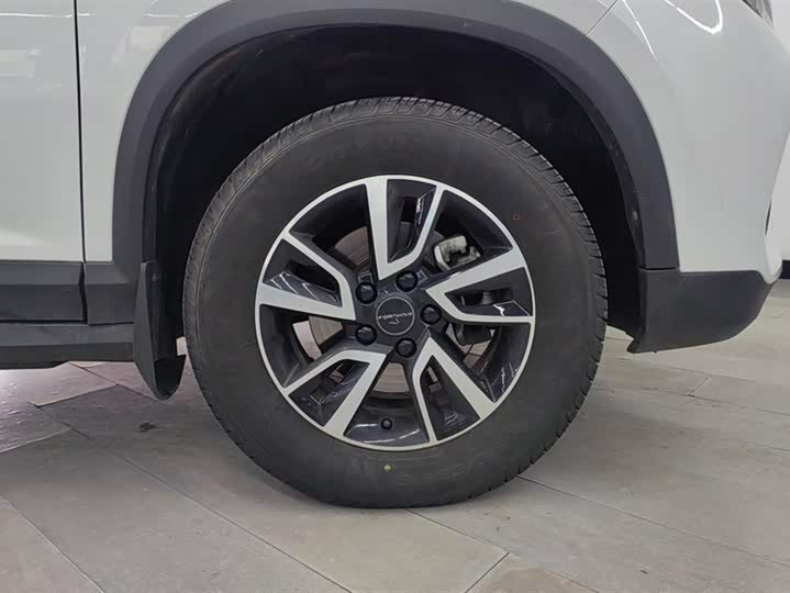 Фото 6 - Dongfeng Forthing T5