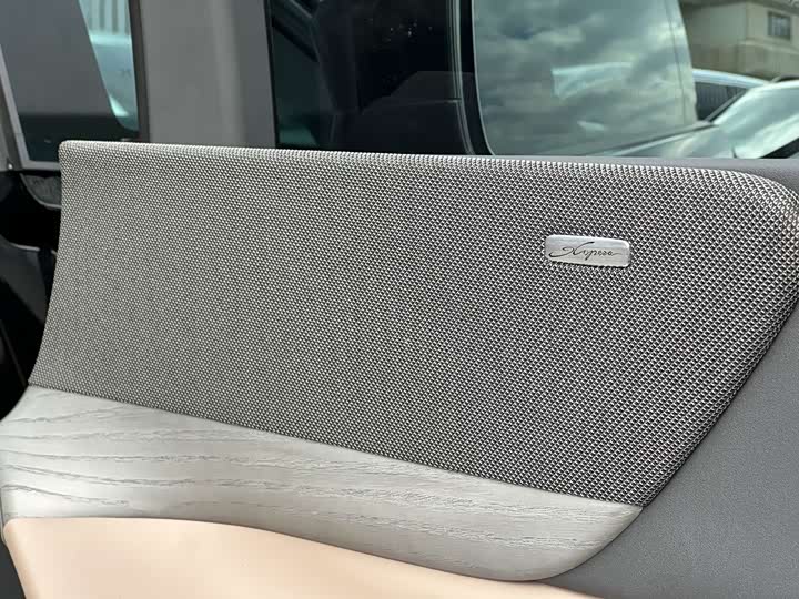 Фото 17 - XPeng X9