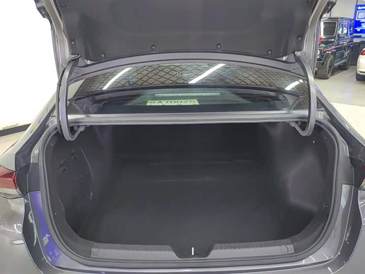 Фото 4 - GAC Trumpchi Empow R