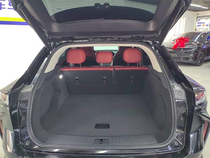 Фото 4 - Exeed RX C-DM Hybrid