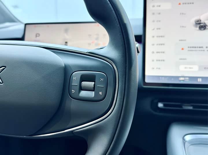 Фото 21 - XPeng F57