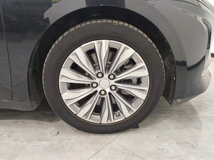 Фото 6 - Hongqi E-QM5