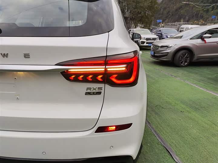 Фото 8 - Roewe RX5