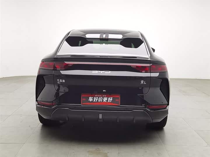 Фото 4 - BYD Song L