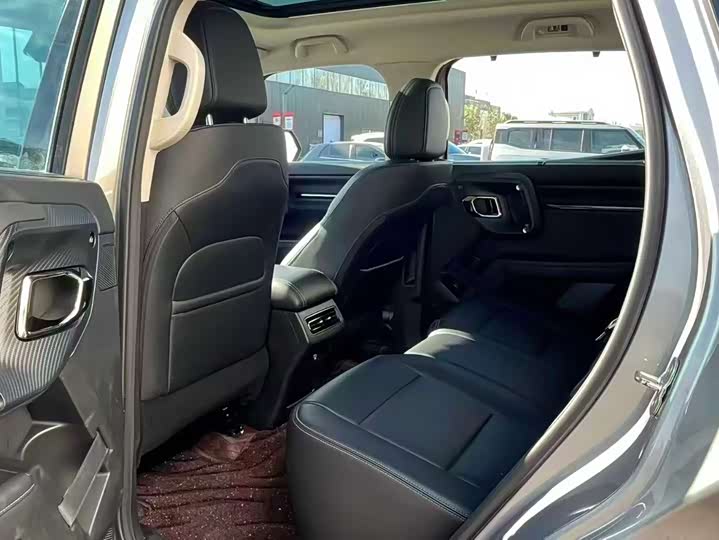 Фото 6 - Haval H-Dog Hybrid