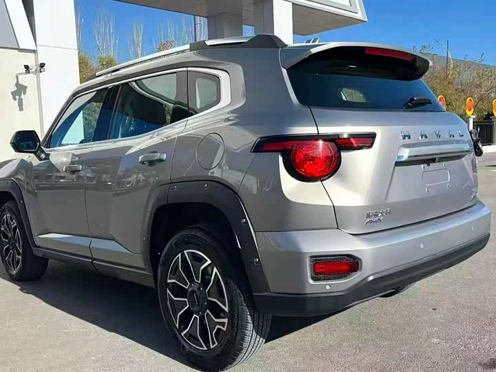 Фото 9 - Haval H-Dog Hybrid