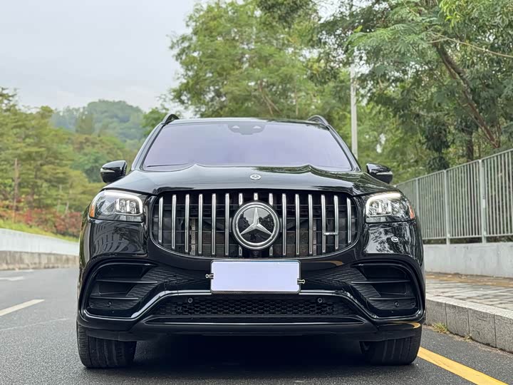 Фото 6 - Mercedes-Benz GLS-Class AMG