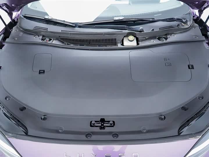 Фото 39 - Luxeed S7