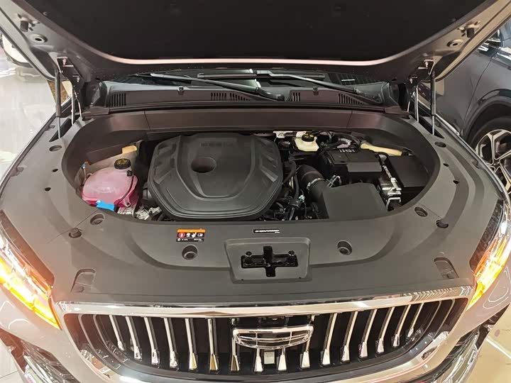 Фото 20 - Geely Monjaro