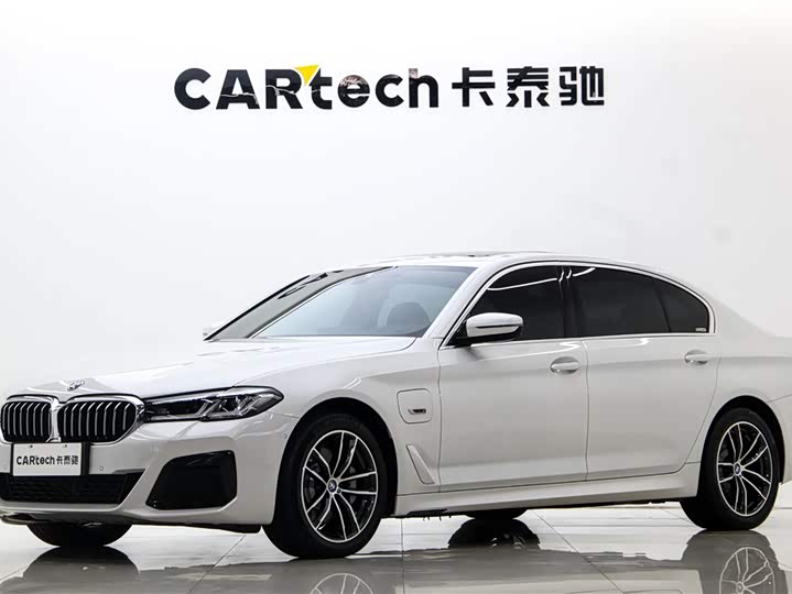 Фото 1 - BMW 5 Series Hybrid