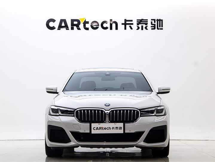 Фото 2 - BMW 5 Series Hybrid