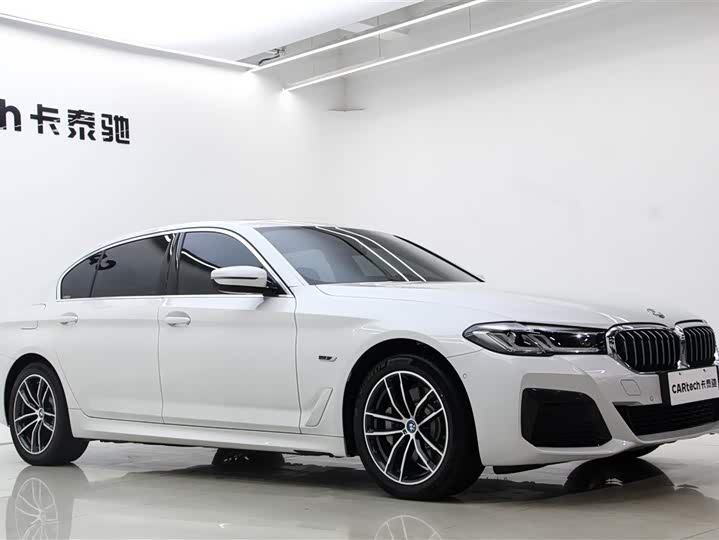 Фото 3 - BMW 5 Series Hybrid