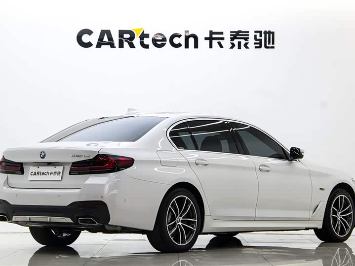 Фото 4 - BMW 5 Series Hybrid