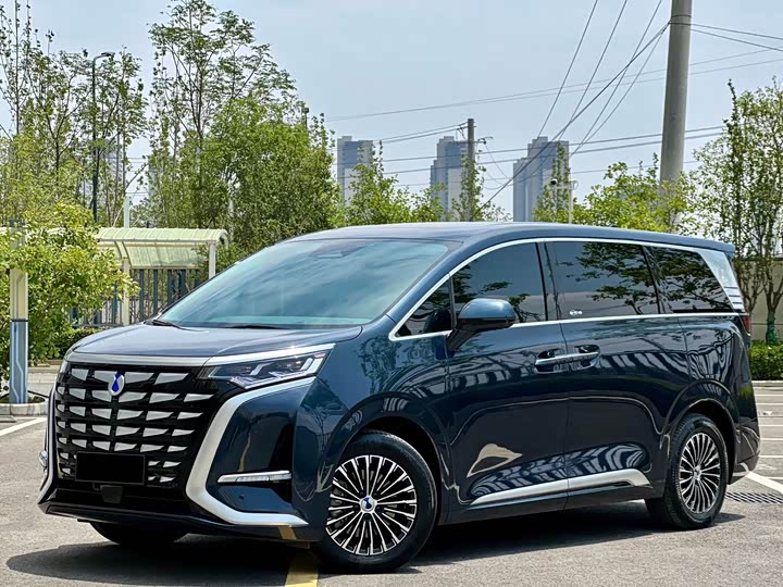 Фото 1 - Denza D9