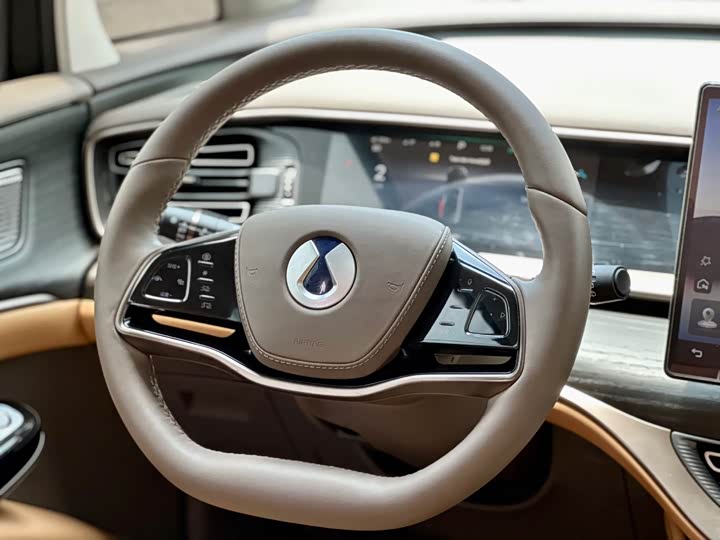 Фото 10 - Denza D9