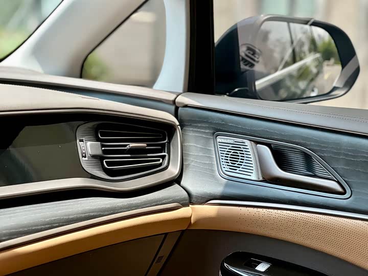 Фото 12 - Denza D9