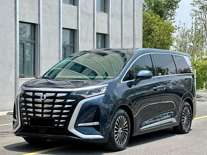 Фото 2 - Denza D9