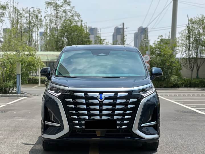 Фото 3 - Denza D9