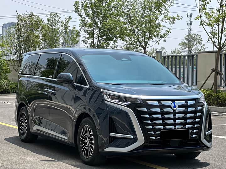 Фото 4 - Denza D9