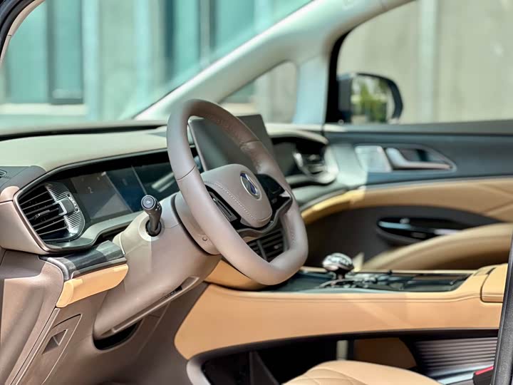 Фото 6 - Denza D9