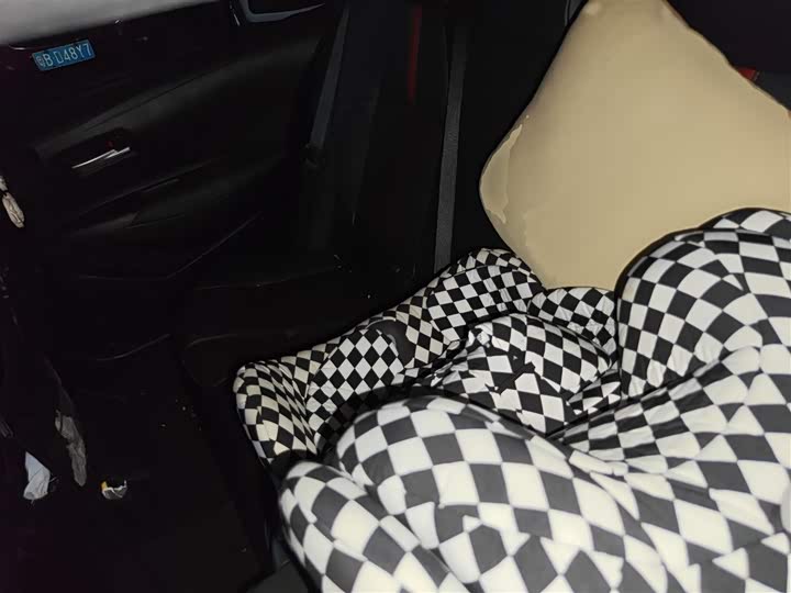 Фото 14 - Toyota Levin