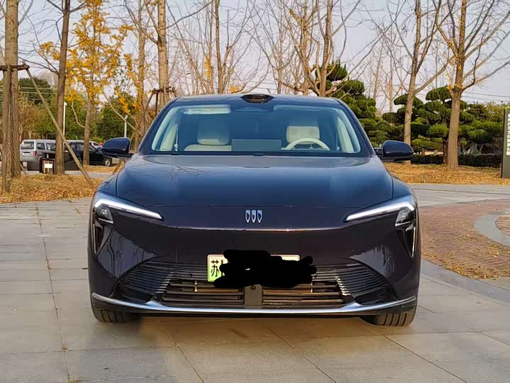 Фото 2 - Buick Electra L7