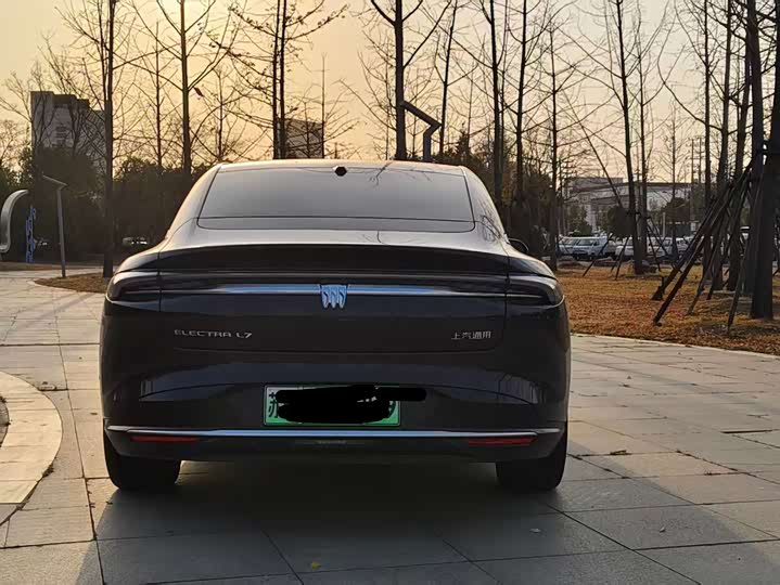 Фото 5 - Buick Electra L7