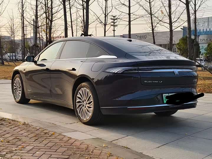 Фото 6 - Buick Electra L7