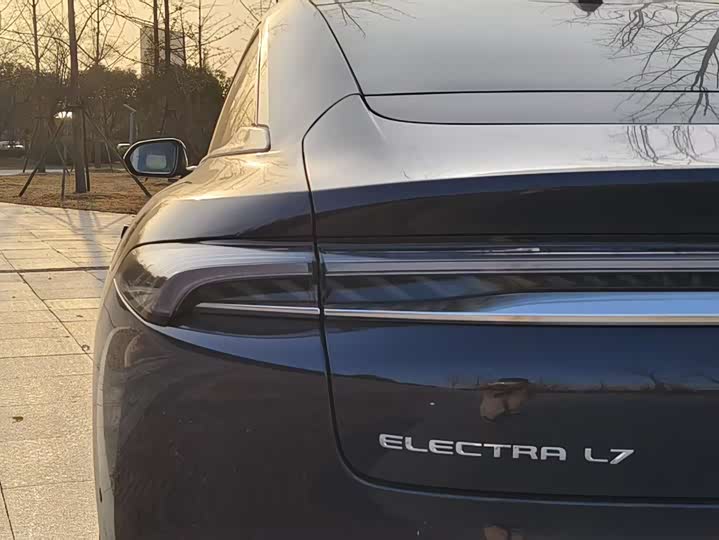 Фото 7 - Buick Electra L7