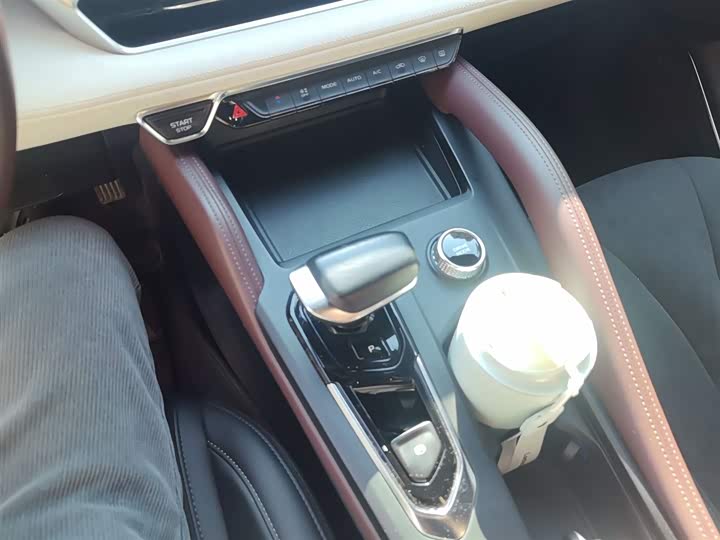 Фото 7 - Geely Monjaro