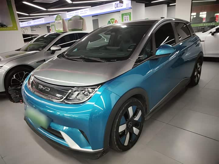 Фото 1 - BYD Dolphin