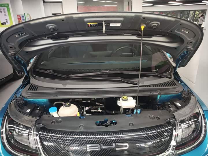 Фото 20 - BYD Dolphin