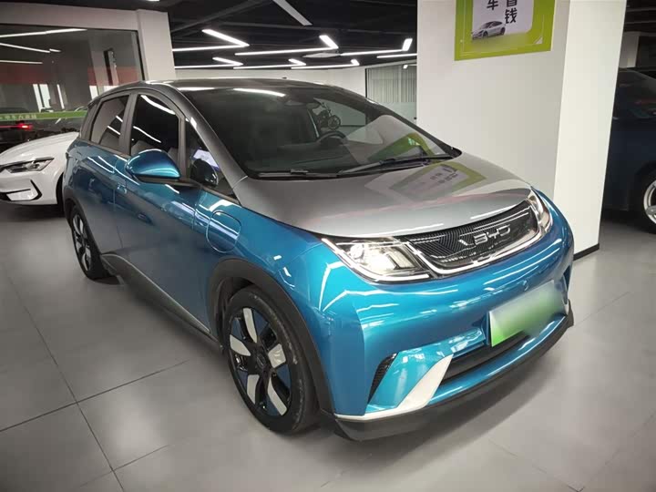 Фото 4 - BYD Dolphin