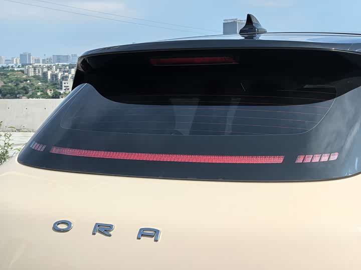 Фото 12 - Ora Good Cat (03)