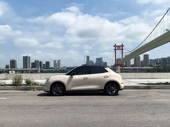 Фото 4 - Ora Good Cat (03)