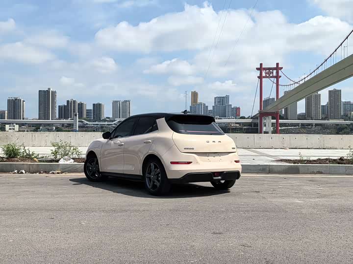 Фото 5 - Ora Good Cat (03)