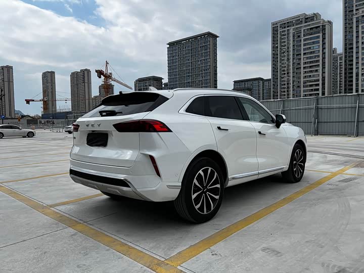 Фото 16 - Wey Mocha