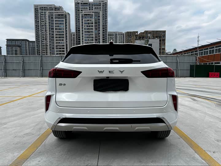 Фото 17 - Wey Mocha