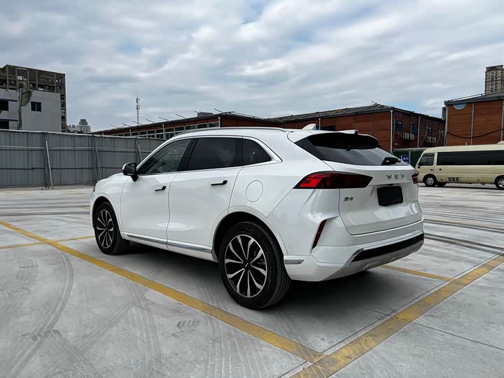 Фото 18 - Wey Mocha