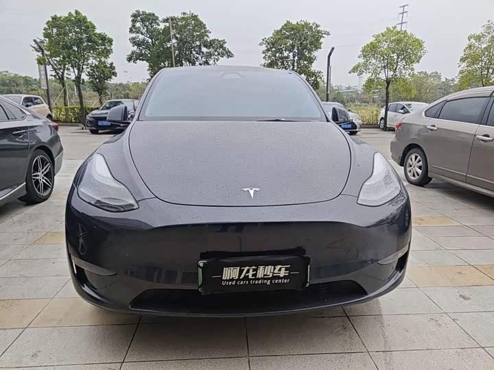 Фото 2 - Tesla Model Y