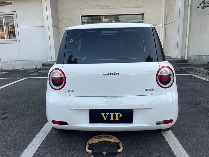 Фото 4 - Changan Qiyuan (Nevo) Lumin